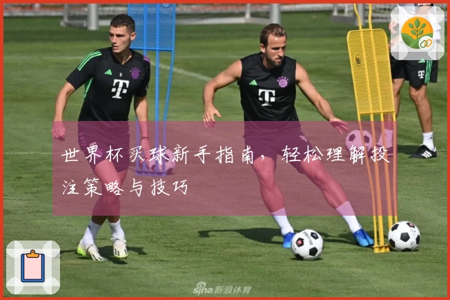 世界杯买球新手指南，轻松理解投注策略与技巧