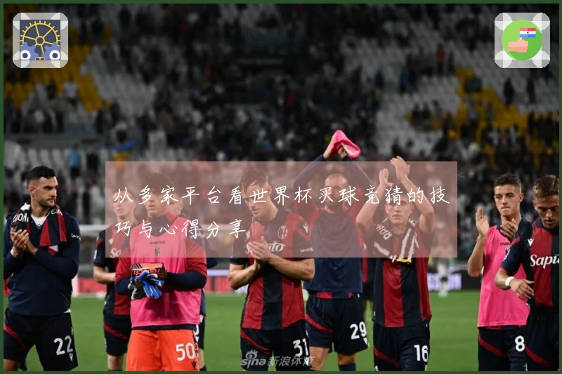 从多家平台看世界杯买球竞猜的技巧与心得分享