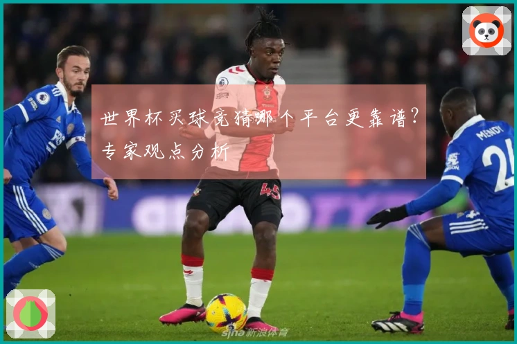 世界杯买球竞猜哪个平台更靠谱？专家观点分析
