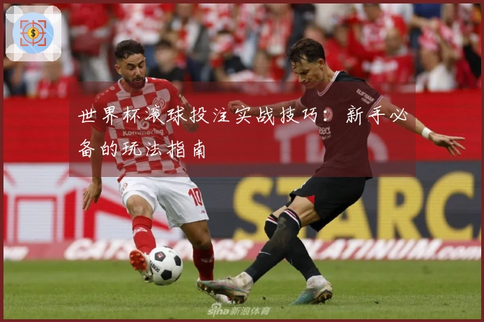 世界杯滚球投注实战技巧：新手必备的玩法指南