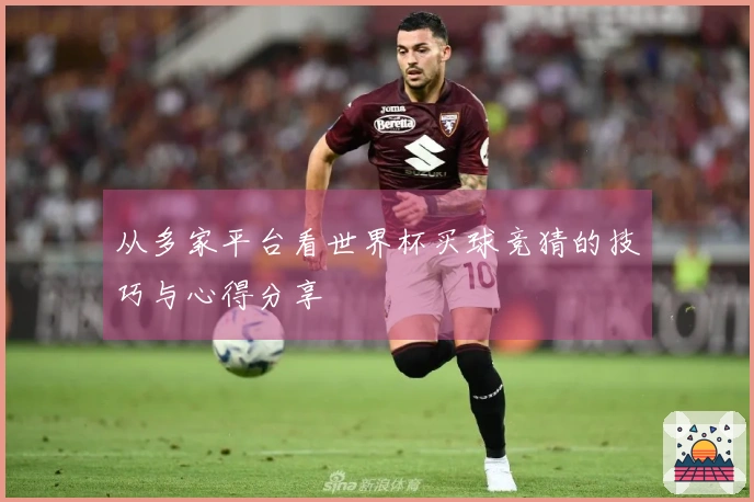 从多家平台看世界杯买球竞猜的技巧与心得分享