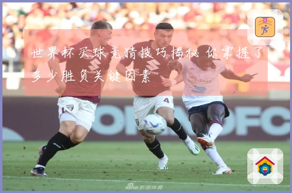 世界杯买球竞猜技巧揭秘 你掌握了多少胜负关键因素
