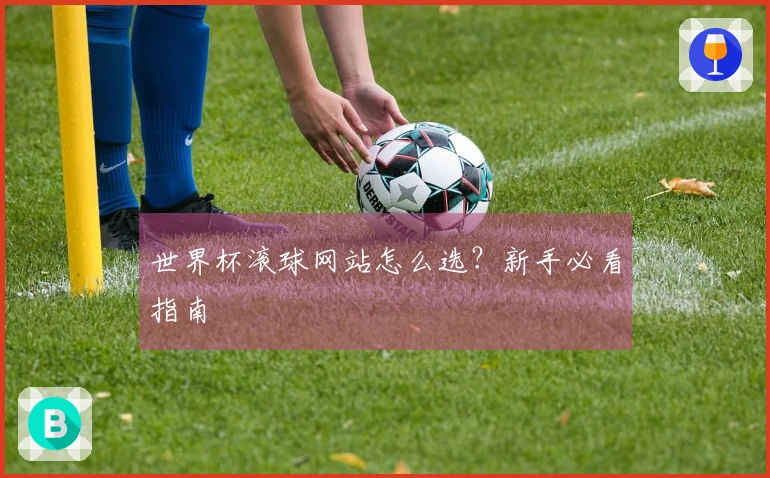 世界杯滚球网站怎么选？新手必看指南