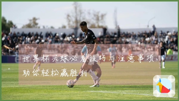 世界杯买球必看技巧与注意事项，助你轻松赢胜利