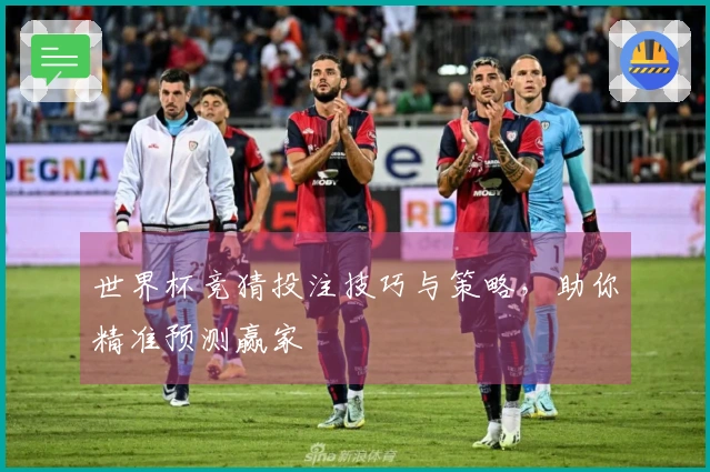 世界杯竞猜投注技巧与策略，助你精准预测赢家