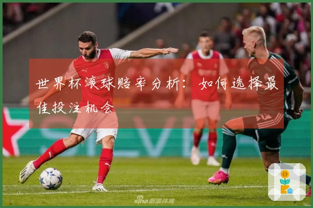世界杯滚球赔率分析：如何选择最佳投注机会