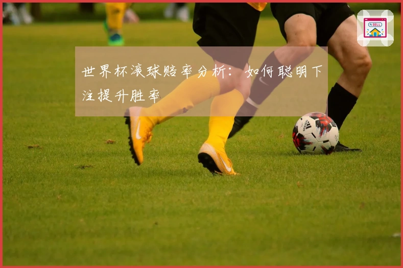 世界杯滚球赔率分析：如何聪明下注提升胜率