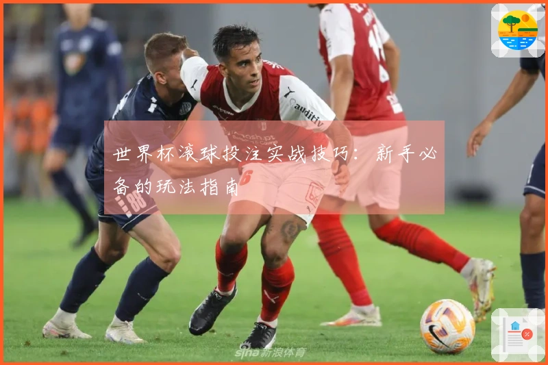 世界杯滚球投注实战技巧：新手必备的玩法指南