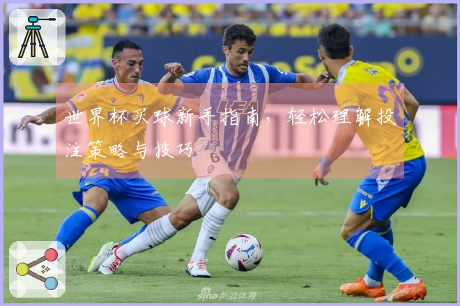 世界杯买球新手指南，轻松理解投注策略与技巧