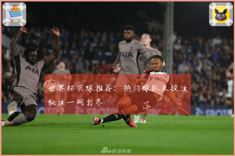 世界杯买球推荐：热门球队及投注秘诀一网打尽