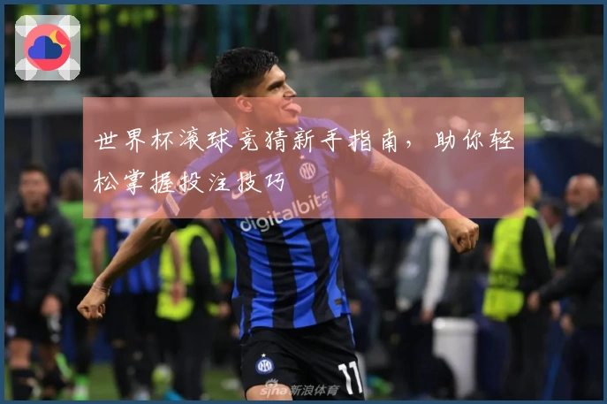 世界杯滚球竞猜新手指南，助你轻松掌握投注技巧