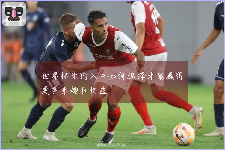 世界杯竞猜入口如何选择才能赢得更多乐趣和收益