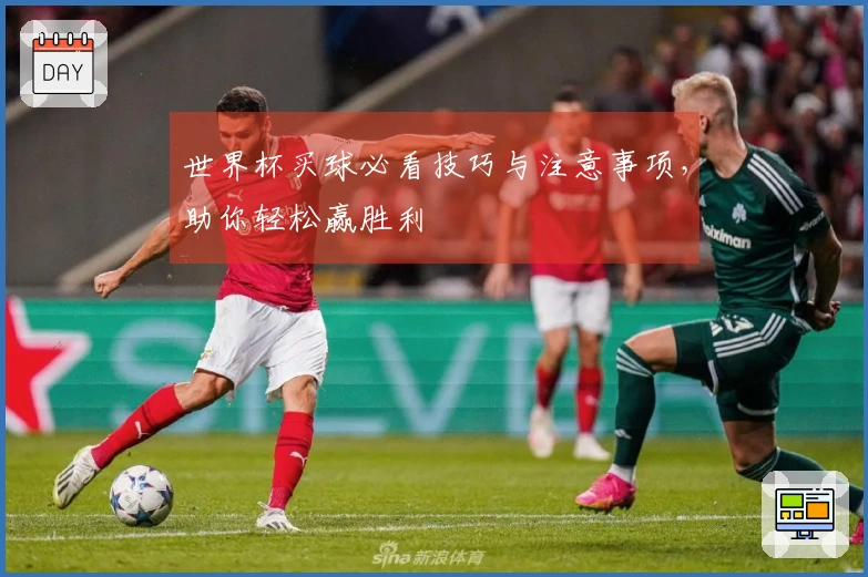 世界杯买球必看技巧与注意事项，助你轻松赢胜利
