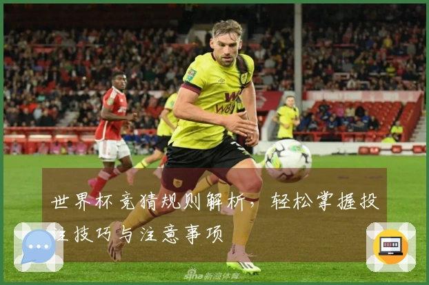 世界杯竞猜规则解析，轻松掌握投注技巧与注意事项