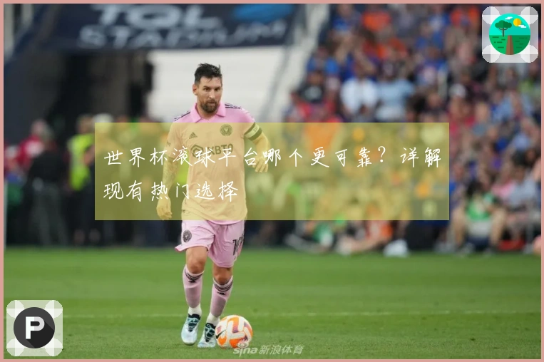 世界杯滚球平台哪个更可靠？详解现有热门选择